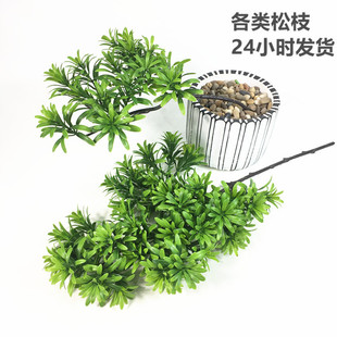 �S�����l������֦ ����ֲ��٘�֦ӭ���� �@���쾰�b����_�h��