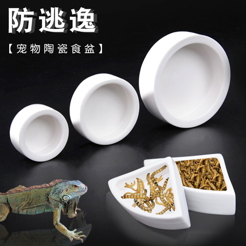 Lizard Ceramic Food Bowl Prevents Live Food from Escaping, Prevents Mealworms and Grasshoppers from Escaping, Ceramic Food Bowl for Geckos and Bearded Dragons Lizard Ceramic Food Bowl Prevents Live Food from Escaping, Prevents Mealworms and Grasshoppers from Escaping, Ceramic Food Bowl for Geckos and Bearded Dragons