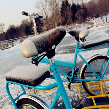 冰场出租型户外运动冰车子爬犁双人骑车冰上自行车 儿童成人冰车