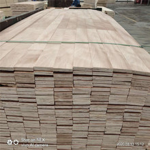 SaNLVL W ľľ ӷeLVL ߴɰa