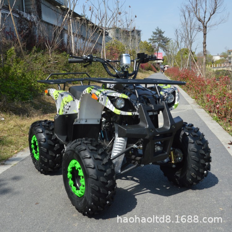 Beach four wheel drive SUV for adults