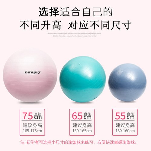Yoga fitness ball thickened explosion-proof 65cm pregnant women's sports balance yoga ball Pilates auxiliary yoga ball