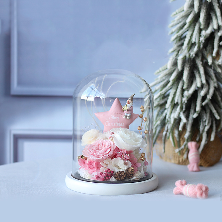 Flor Eterna Cubierta de Cristal, Regalo de San Valentín de Amazon, Rosa Estrella de Navidad, Regalo Festivo, Producto Terminado, Romántico