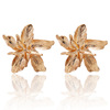 Fashionable metal three dimensional earrings, European style, simple and elegant design, flowered