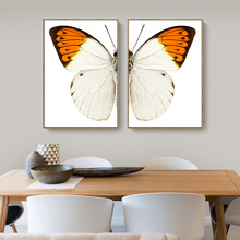 现代简约客厅餐厅装饰画蝴蝶翅膀双联组合挂画公寓酒店家居挂画