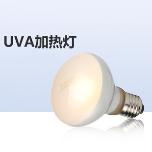���xUVA�ӟ���՟������Ӝ؟����������،m������������������