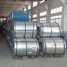 �w���o���h���g����\�� Ҏ���RȫDX51D+Z80 1.2*1219*C�������