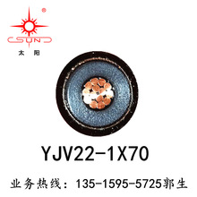 ƽ̫оͭо YJV228.7/15KV-1*70 ֱ