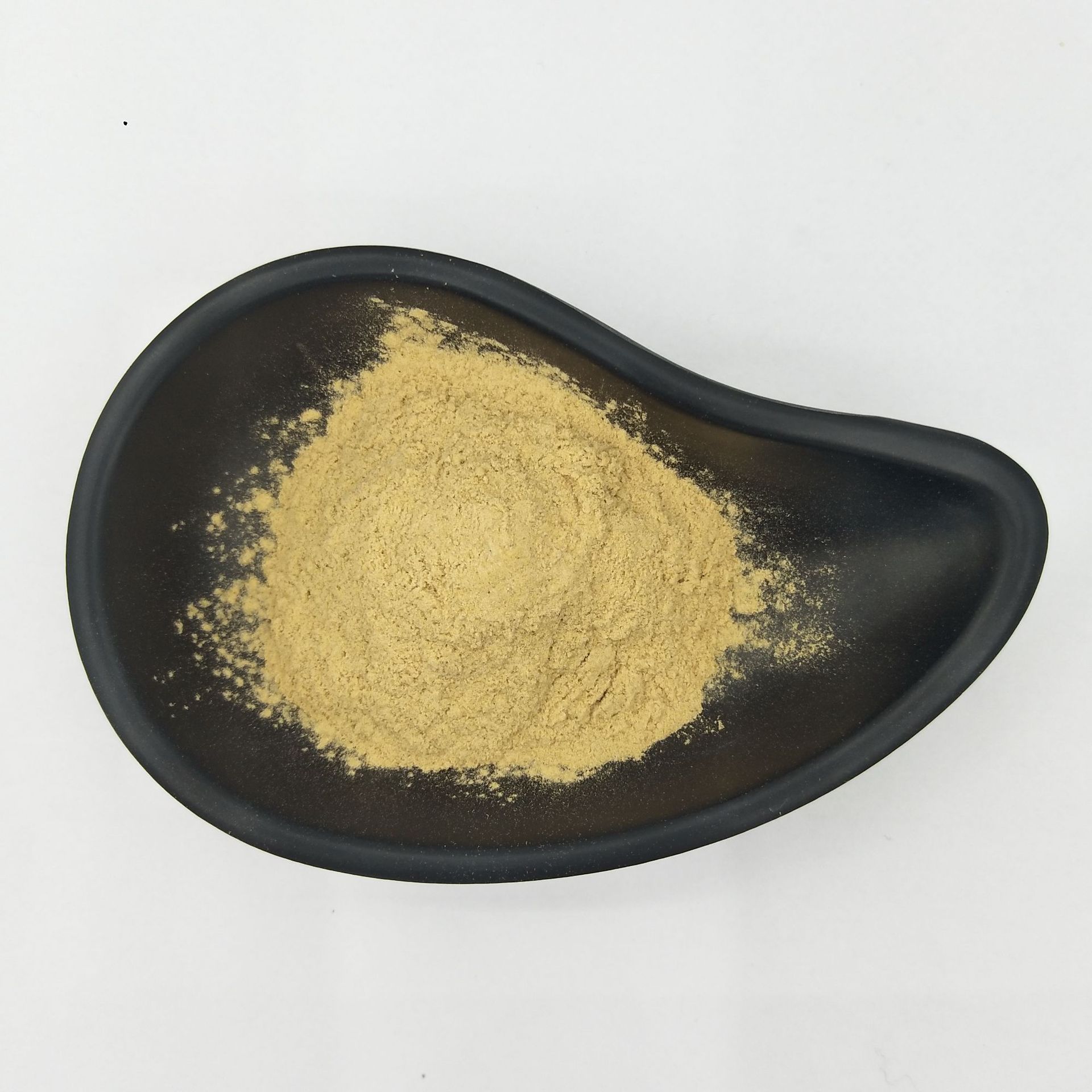 辣木叶粉 辣木叶提取物 10:1 辣木叶  现货供应 辣木叶提取物