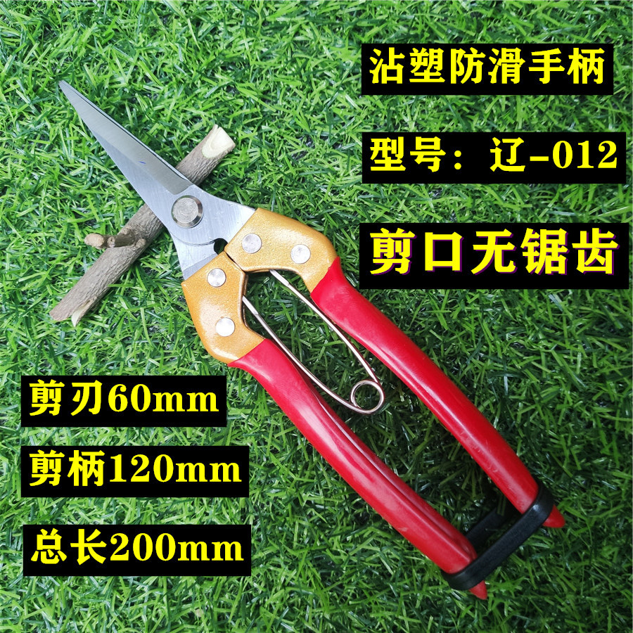 源头货源葡萄桔子剪的果把剪疏花剪稀花剪采摘剪摘果剪苹果剪