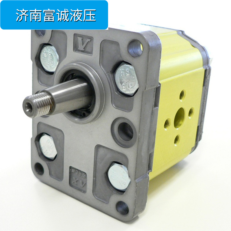 原装维沃XV-2U/19cm3/giroX2U5302EOOA意大利VIVOLO单向齿轮马达