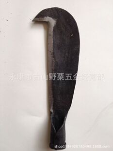 �S�ҹ�������A�1.2���� �����r�õ��ߴ�