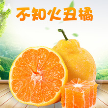 �����x���Ĵ���֪����� 3�ﮔ�����ٱ����֭��������r�ЋDˮ��