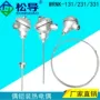 温度铠装pt100wrnk-131热电阻
