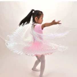 舞台/表演服;肚皮舞表演服;旗帜