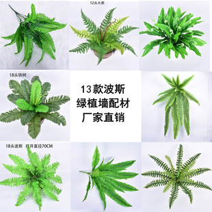 ���沨˹�~�����~�����ϰ����Iާ �F��ާ�ֲ�� �@ˇ�Gֲ�b�