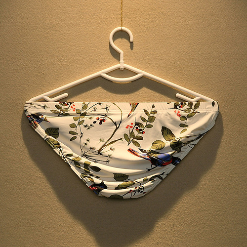 Men's stylish low-rise triangle underwear, ice silk breathable, fashionable, revealing, sexy, personalized, trendy, youth, plus size.