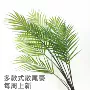 家居仿真人造植物散尾葵