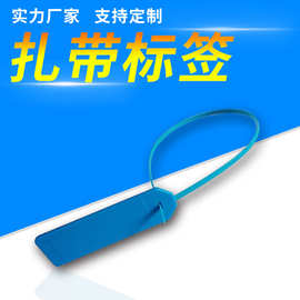 RFID扎带电子标签 货车跟踪巡更检查鞋帽包包防盗塑料封条ABS标签