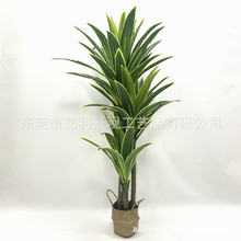 �����F��Gֲ �Ҿ�����b��F�~ ����٘��辰�[���߷���