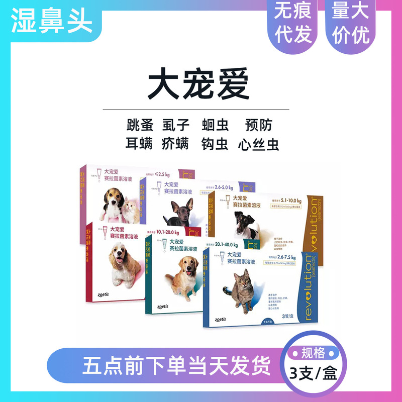 Big pet insect repellent adult cat kitten 15mg dog in vitro and in vivo insect repellent drops flea roundworm ear mite scabies mite 45mg