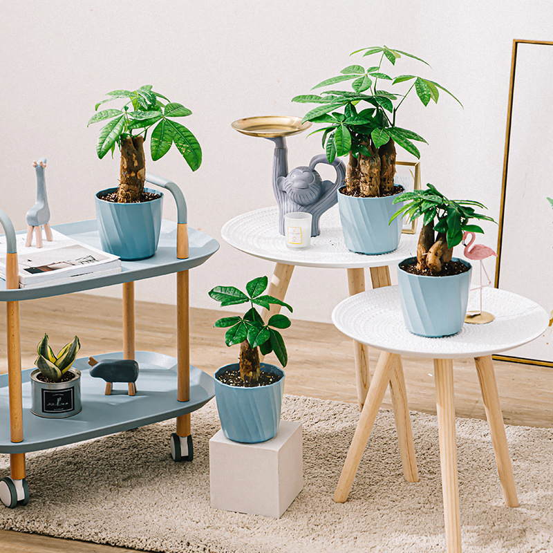 Balcón para el hogar Maceta de plástico extragrande de alto valor Maceta de rosas de rosa de gran capacidad engrosada y transpirable