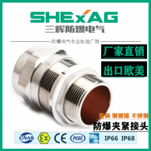 ������|���^���m�^ ������|�A�o���^�z�b�������Ϻ��ͱ��B����