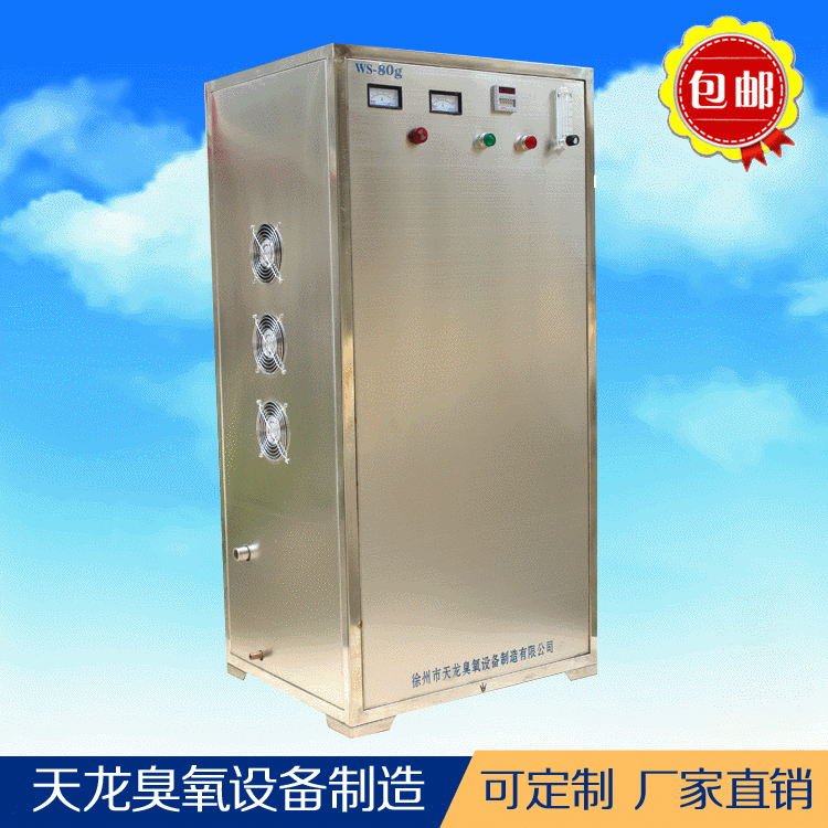 臭氧设备 水处理消毒机WS-80g 生产厂家直销臭氧发生器 质量保证