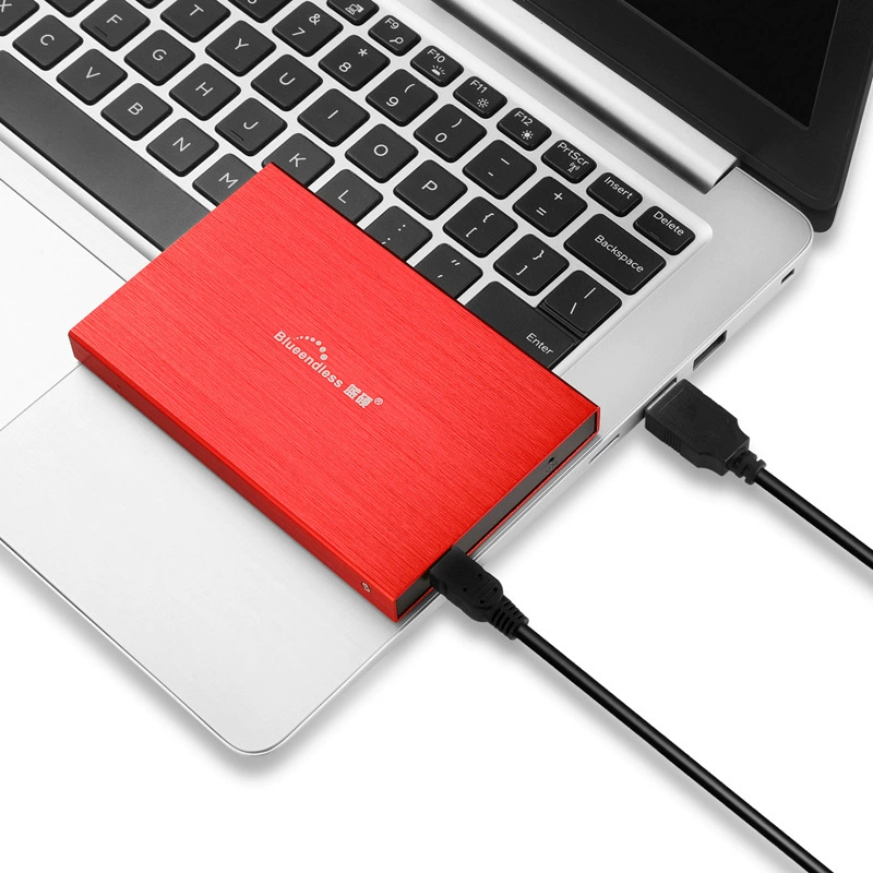 Лан Шо USB-жесткий диск 500ГБ 160ГБ 1Т 320/250ГБ производитель USB2.0 оптовая подарочная флешка диск