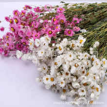 ~}Ȼ滨_˹BɻСϞռҾĔz߻