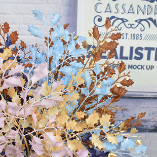 ����5�晵���~�}�Q�~���c��Y·���b廨���ϻ��Gֲ�߷���