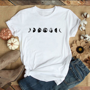 ���Qnv  T�� moon ���� ��ʳ ��ʳ���R�debay ��ĸ����