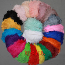 ?25-30cm�r�Bë�W�t���ղ�ɫ�r�B��ë��c�b�����ë���ϱ�����