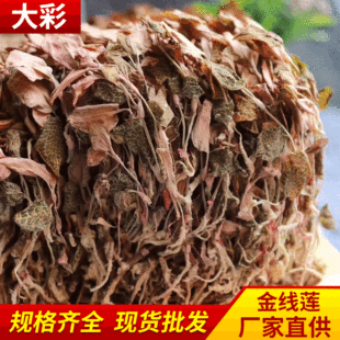 �������l������ɏ�ɽ�ɏ��ɏ�~