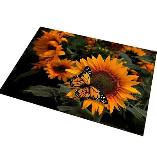 Nordic door mat door mat home living room door carpet foyer entrance door foot mat