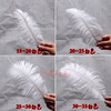 White decorations, wholesale, 15-80cm