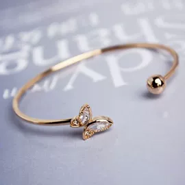 耳环;耳钉;发夹