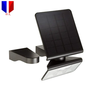 Solar Wall Lamp Shell Mold Design Shanghai Injection Molding Processing Small Electrical Appliance Parts Mold Abs Injection Molding