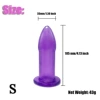 Transparent Purple 2 (Aluminum Foil bag)
