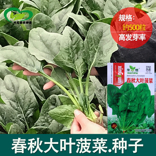 ������~���˷N�� �r��ˈ@�������~�ʺ�����A�~�����߲���