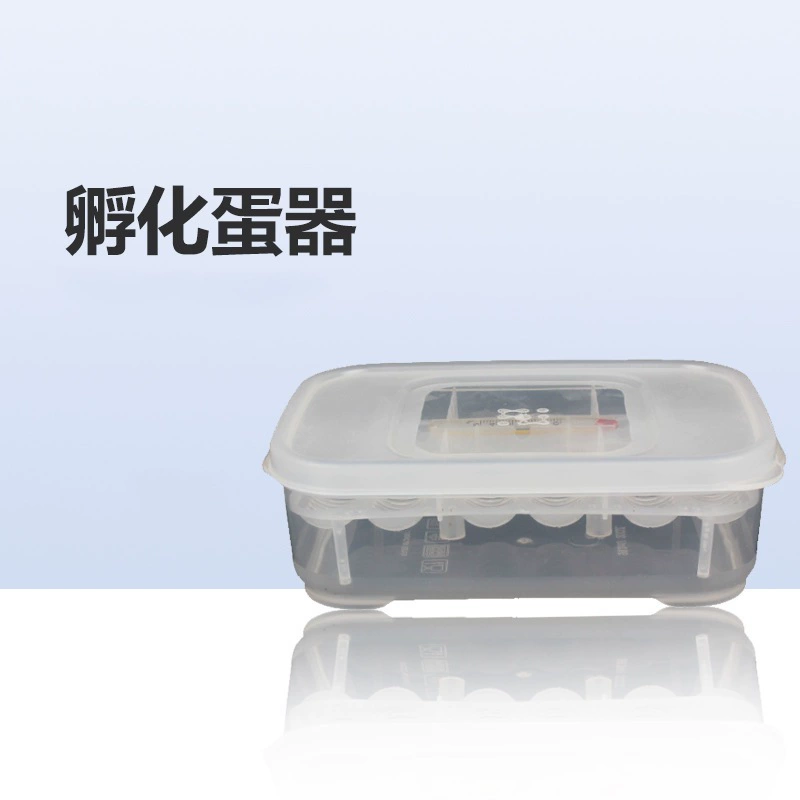 CM Palace-охраняющий змеиную ящерицу, ползающий инкубатор для домашних животных, лоток для яиц, Подарочная коробка, инкубатор для ползания, инкубатор для яиц