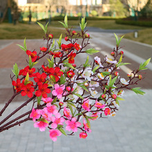 �A�� ���쎧�~�һ� ���һ���֦�b� ܛ�b���̻��� ���滨�a��؛Դ