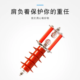 避雷器;隔离开关;高压熔断器