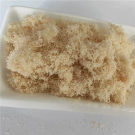 其他非金属;非金属粉末;涂料增稠剂