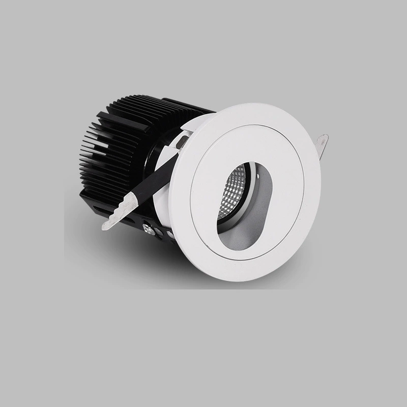 Smart LED lights, built-in lamp for living room