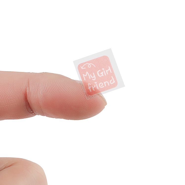 Pegatinas creativas papelería mini fábrica lindo diario de dibujos animados pegatinas 6 modelos opcionales 2 hojas