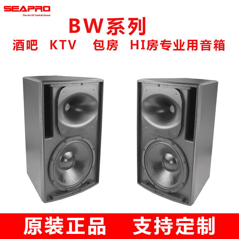 现货批发森宝BW610全频音箱酒吧KTV包房HI房专业会议音响生产厂家