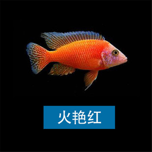 �R���~���w�Ꭷ�^�p�~OB��ȸ�ʵ��{�������t��ˮ�~�д����~���l