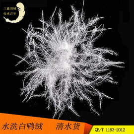 白鸭绒批发市场的最新动态与机遇探讨
