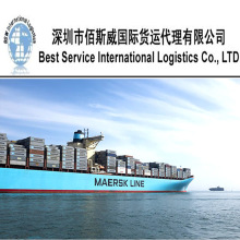 供应中国到太子港	海地液体海运双清包税到门运输服务